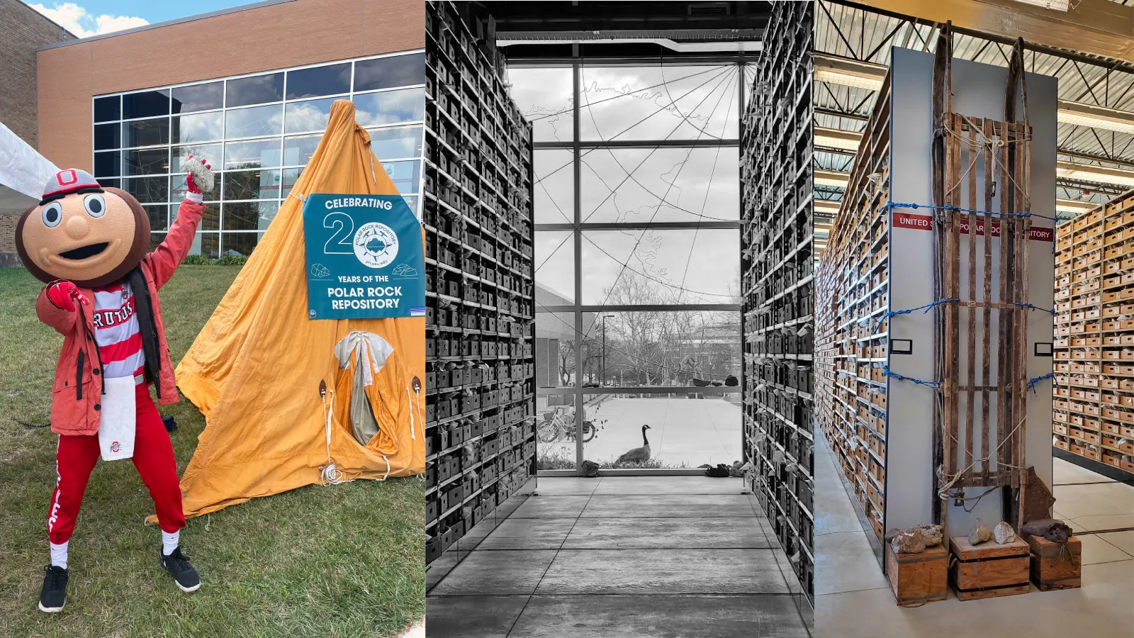 collage of 3 pictures side by side with the middle in black and white. The first to left is Brutus next to a yellow tent with a sign on it in front if a building with a glass wall. The middle is looking out outside from inside that building through glass with a goose outside the window. the third is of shelving partitions to ceiling with wooden drawers on shelves and a sled on the side of one of the partitions..