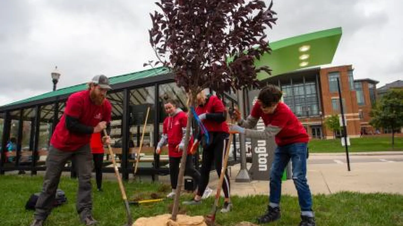 Students in red shirts work together to plant a tree on a cloudy day 