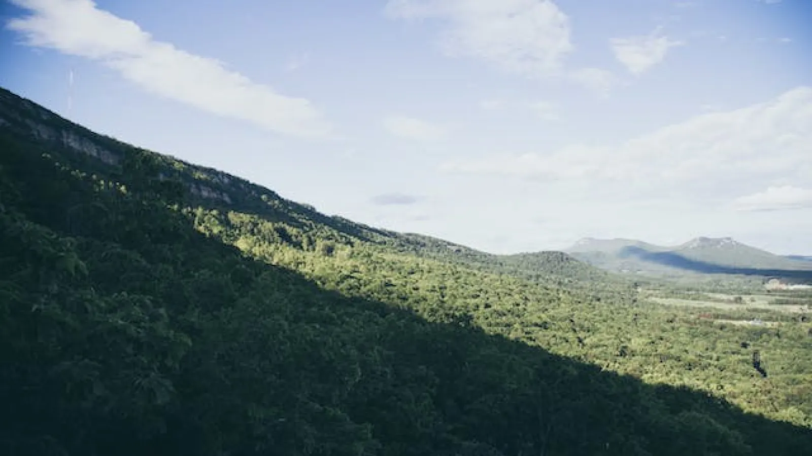 Vista of green vegetation canopy on a hill with mountains in a distance under blue skies with white clouds.
