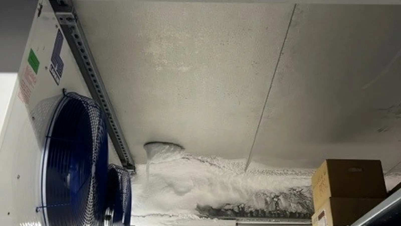 Frost built up on the ceiling of the ice core storage freezer