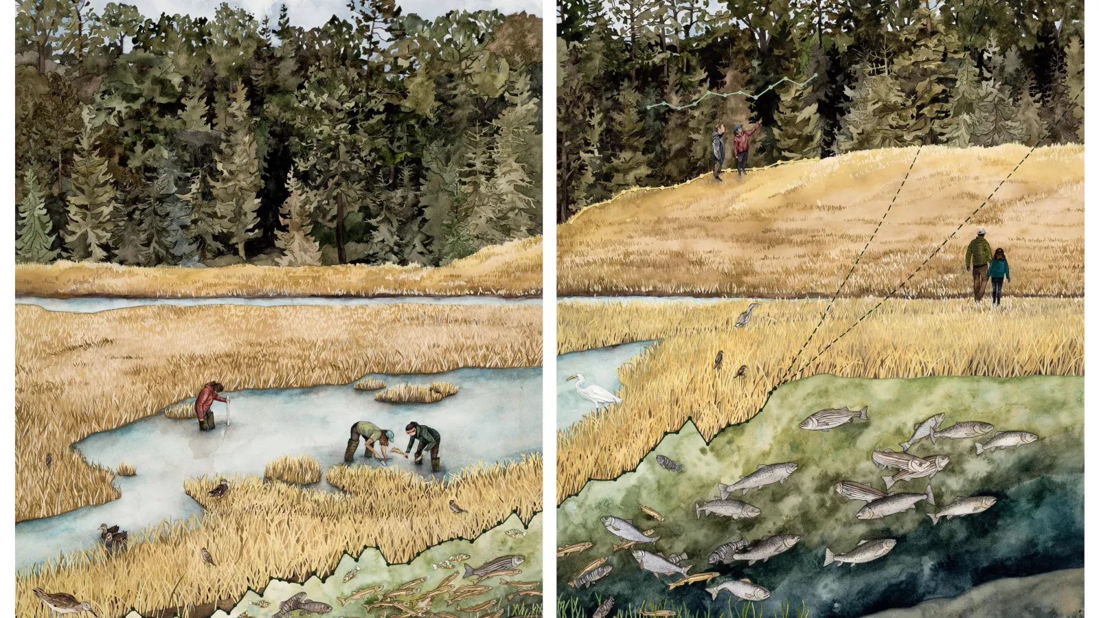 A vibrant landscape painting of people walking in a hay field, others standing on a hill with pine trees in the background, a stream with many fish swimming in it, birds and people in a pond planting and measuring water depth and birds all around.