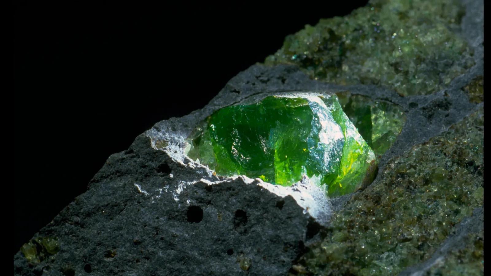 Forsterite in rock.