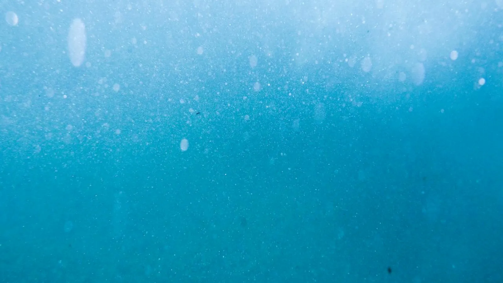 Blue under water scene with bubbles at the top.