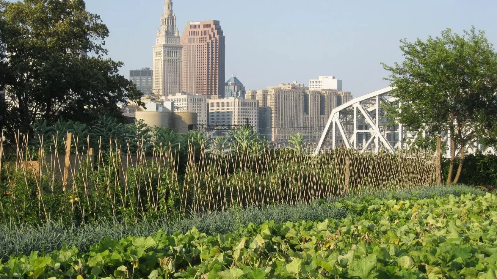 Cityscape of Columbus, Ohio. with vegetation, trees and a bridge in the forefront.