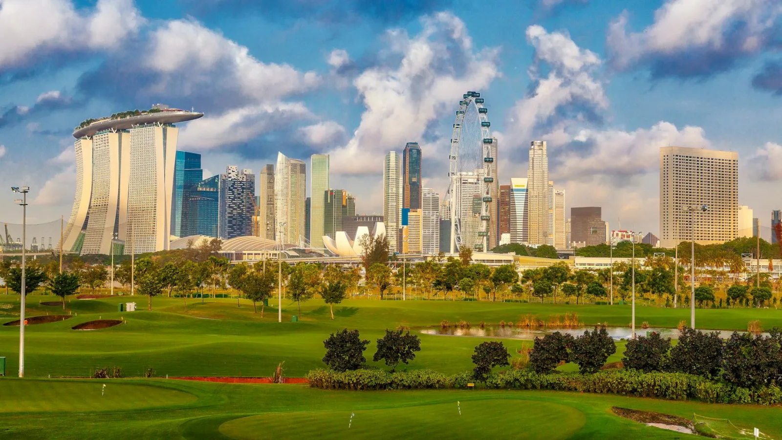 Landscape of green space with a cityscape in the backdrop. 