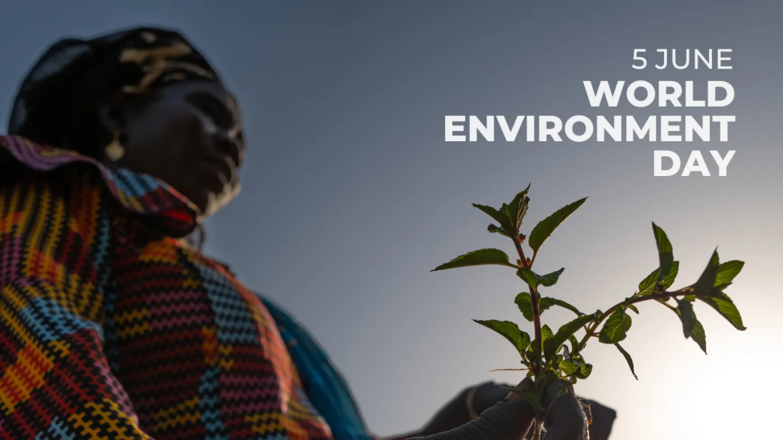Woman holding a pant. Text says 5 June World Environment Day we are #GenerationRestoration and several logos at the bottom of the page.