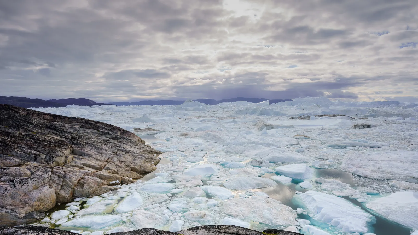 An Icefjord in Greenland, with large chunks of ice floating on the water under a cloudy sky, with rugged terrain in the foreground.