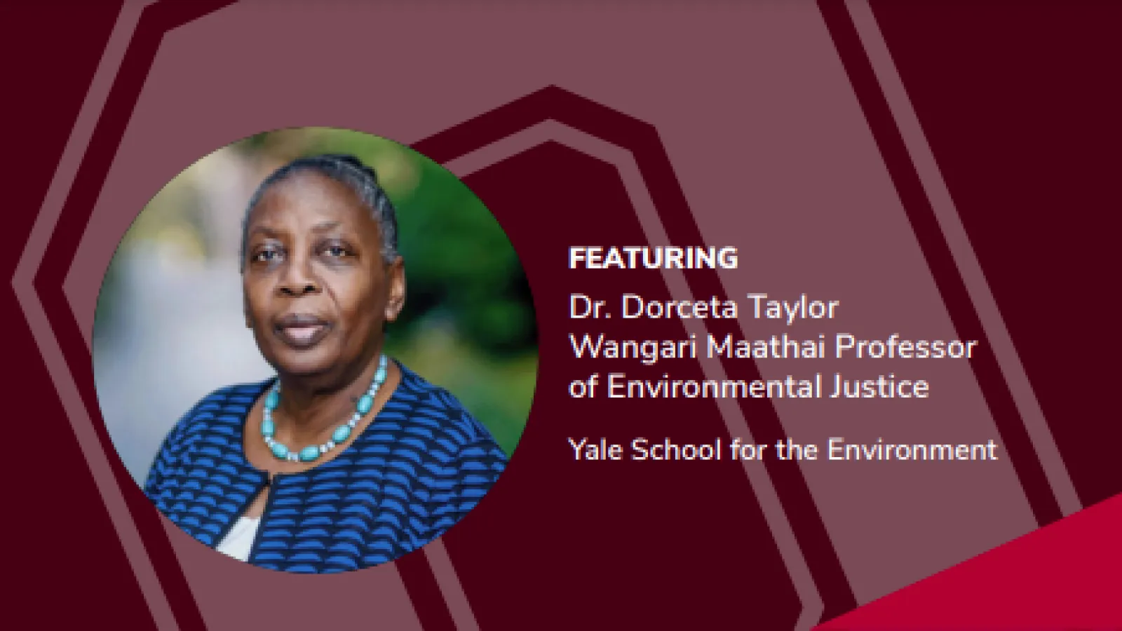 Dr. Dorceta Taylor portrait