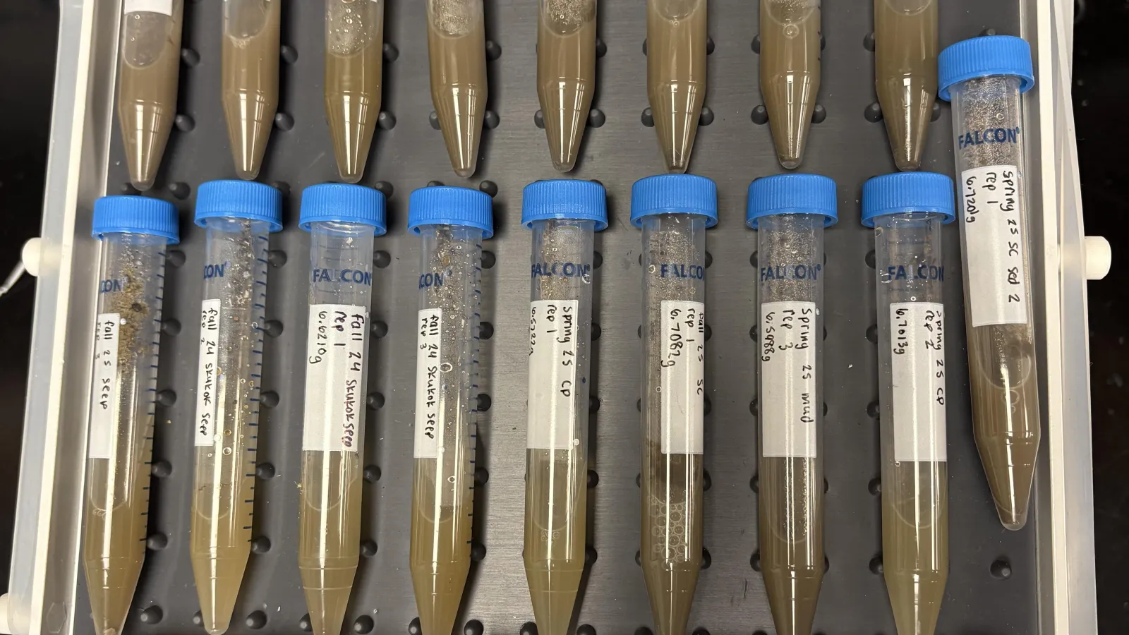 Small vials with samples in them.