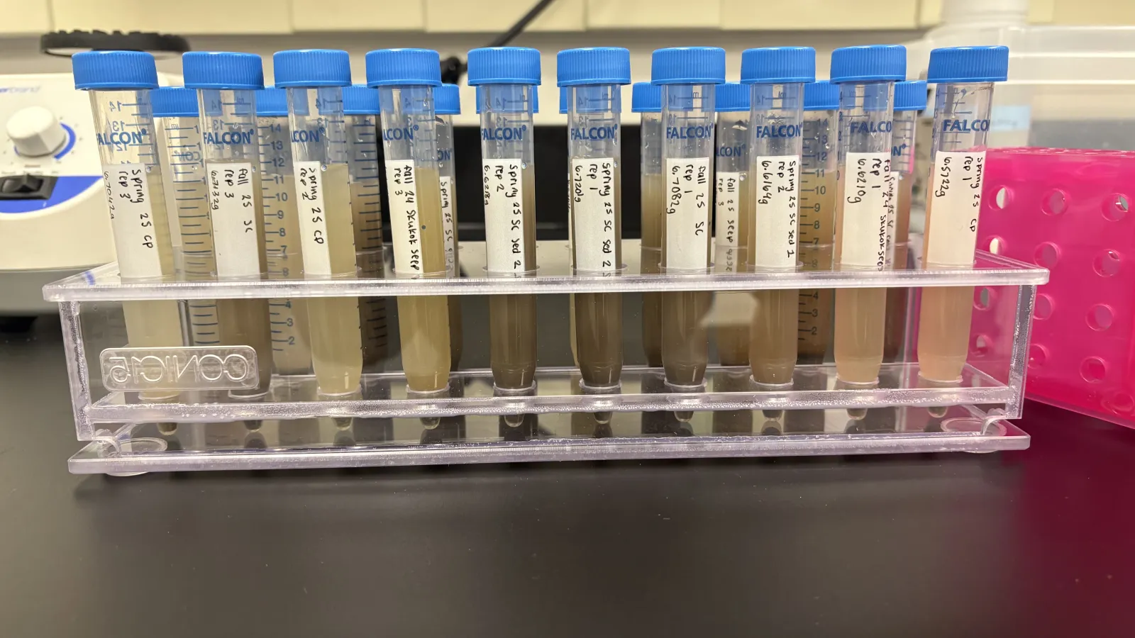 Lab samples in small vials.