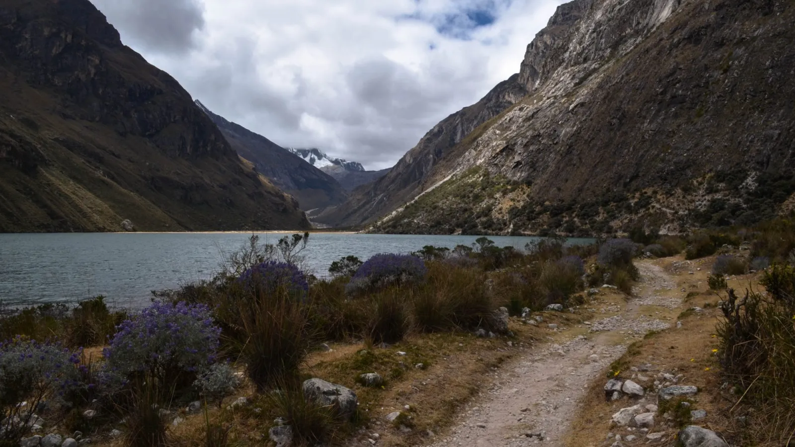 Glacier Environmental Change