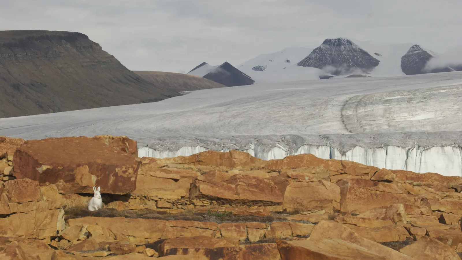 Bedrock with glacier in the background