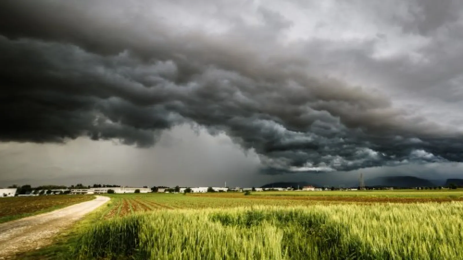 FARM App Helps Farmers. (Photo: Getty Images)