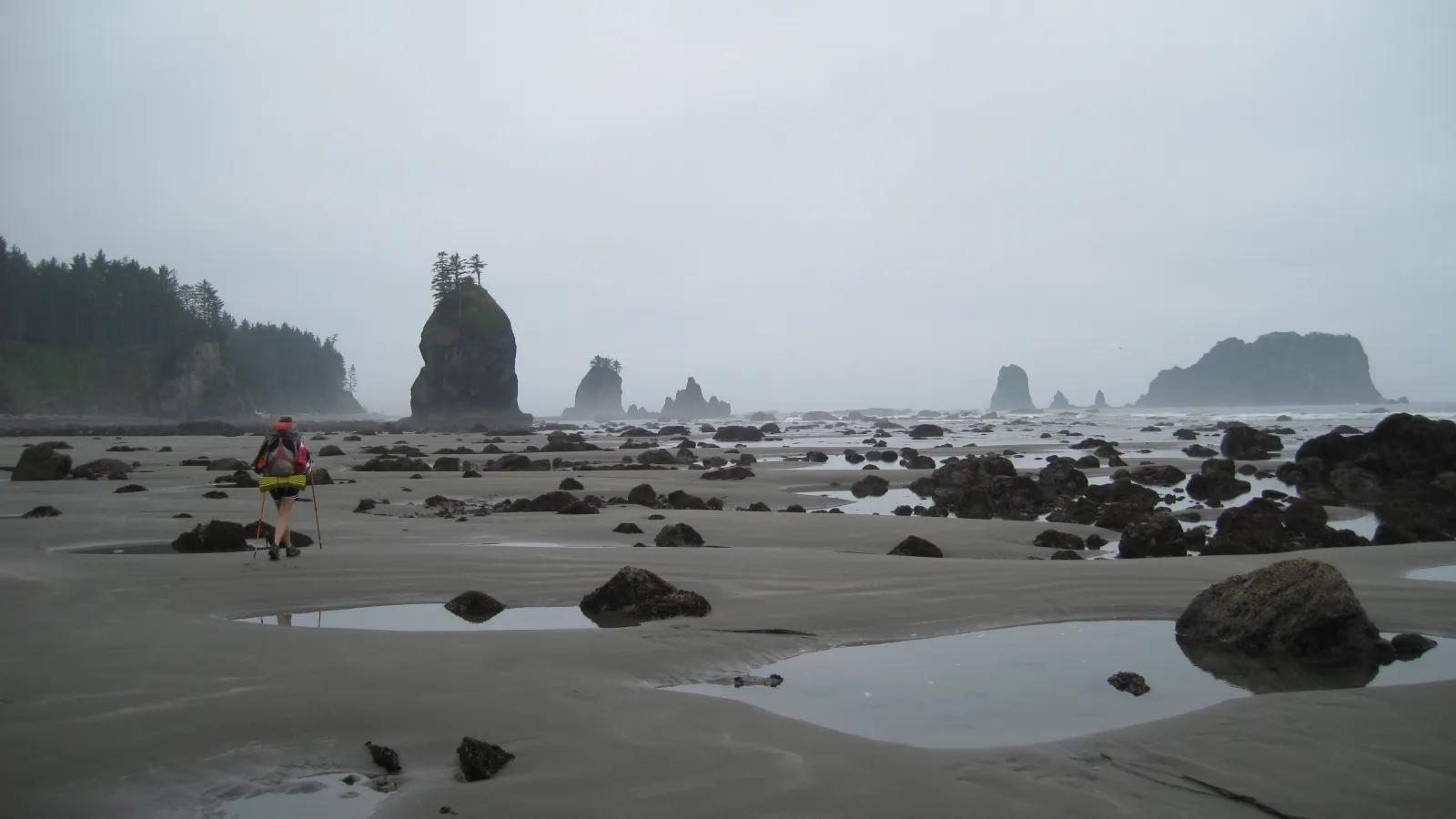 Beach with ocean in background
