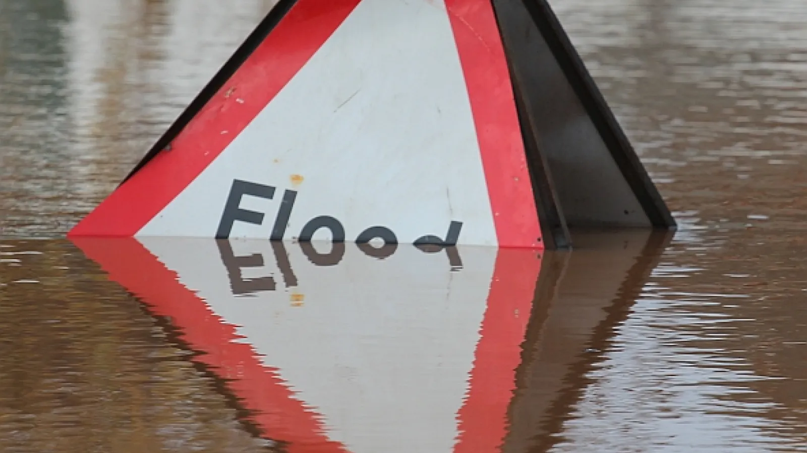 "Flood" sign in water