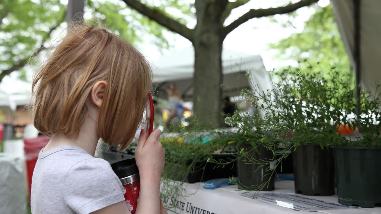 Youth looks at ABRC plants