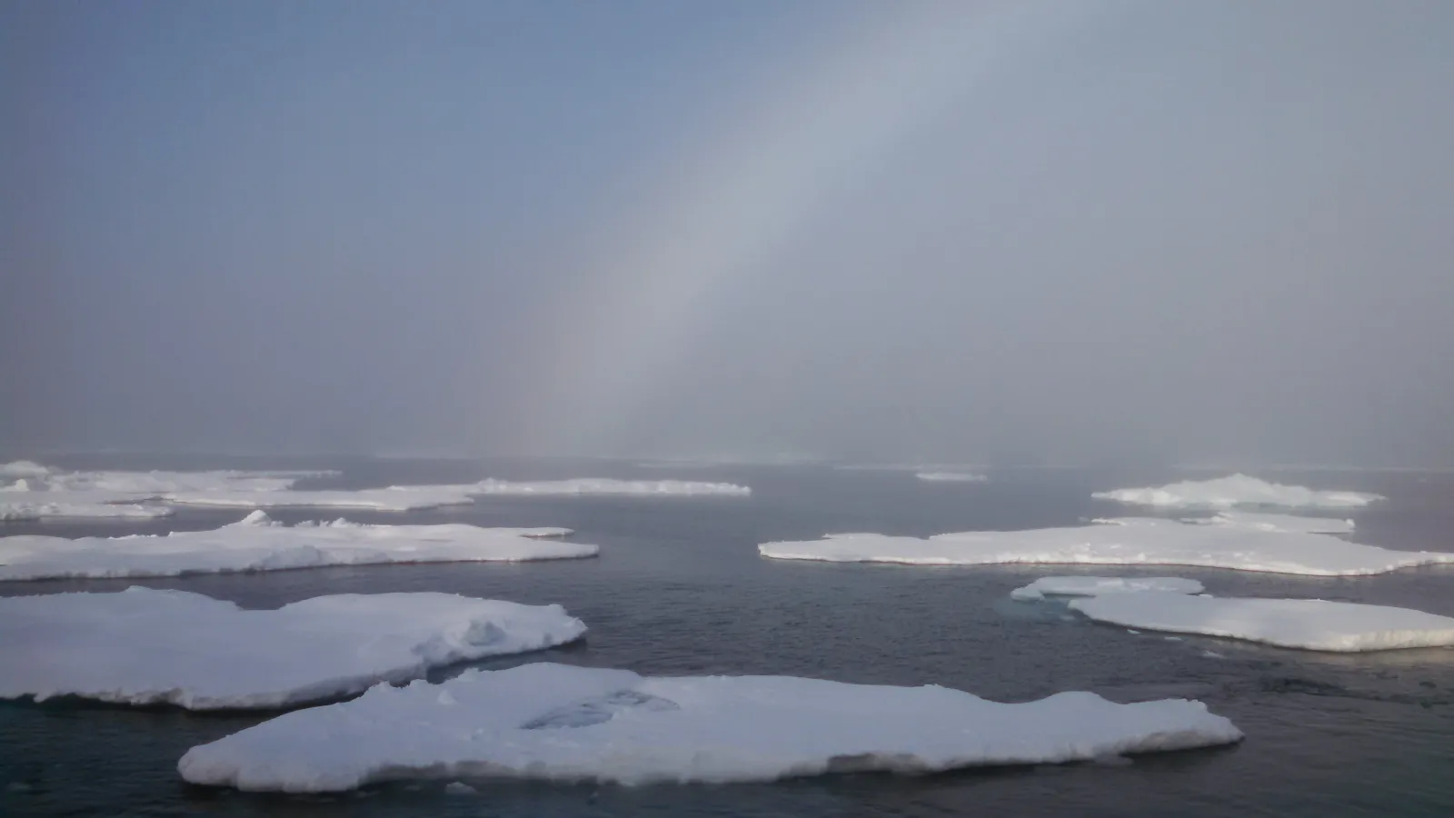 Arctic Sea Ice