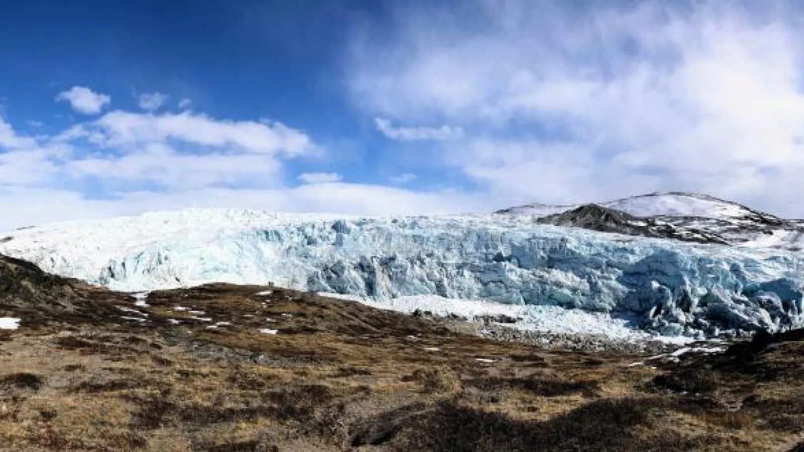 Glacier terminating in a grassy field 