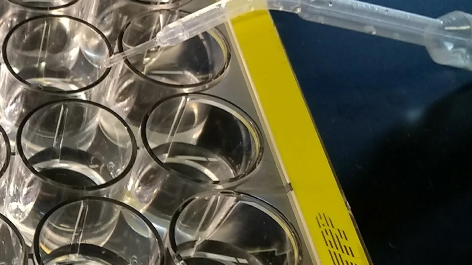 A pipet and well tray used to conduct microbiology research 