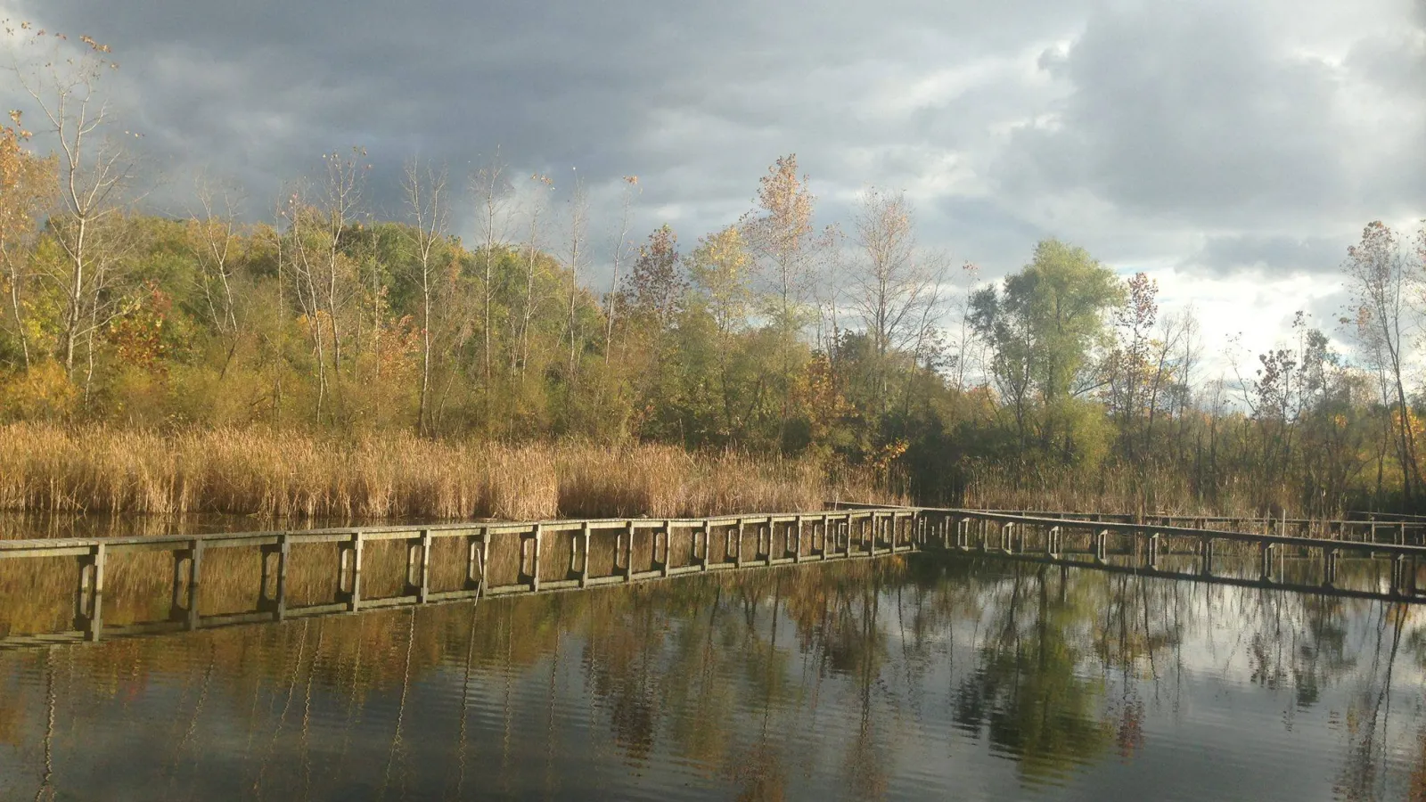 Wilma H. Schiermeier Olentangy River Wetlands Research Park