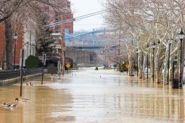 Street under water in a city lined with buildings and trees