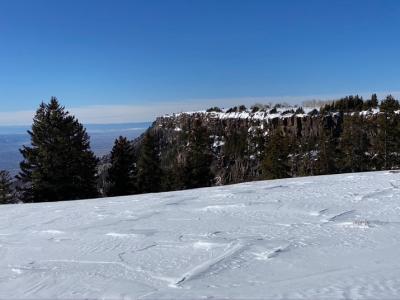 Scenery, snow covered ground with trees and rick cliff and blue skies at distance