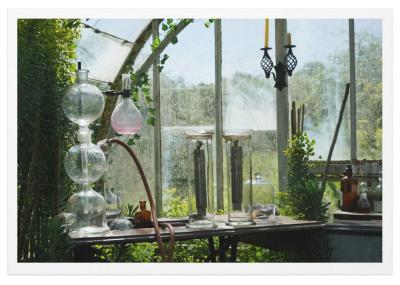 Scientific equipment on a table inside a lush greenhouse