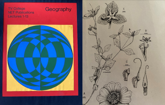 A mock-up geography textbook and several botanical drawings.  The book is red with a yellow square on its front. Inside the square is a large circle with blue and green checkers warped across its surface. The drawings are close-ups of plant structures including measurements for reference.