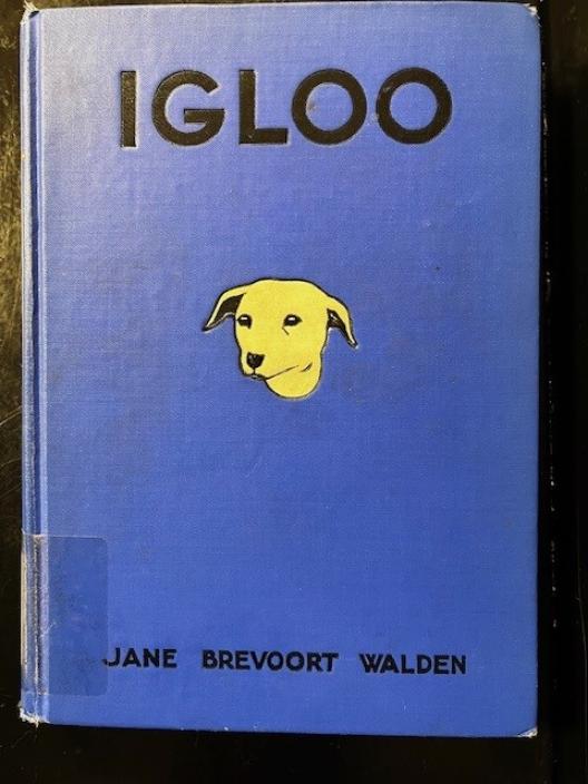 Blue Book with graphic of do and words Igloo Jane Bravoort Walden