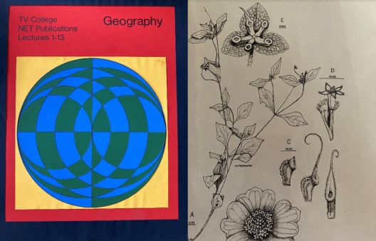 A mock-up geography textbook and several botanical drawings. The book is red with a yellow square on its front. Inside the square is a large circle with blue and green checkers warped across its surface. The drawings are close-ups of plant structures including measurements for reference.