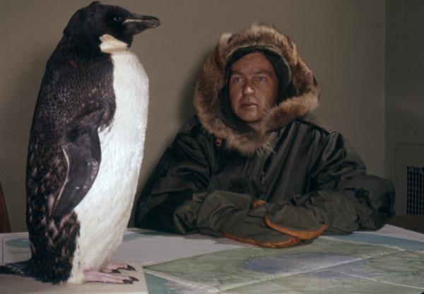 A man wearing a coat with his hooded on sitting at a table covered by a map and a black and white penguin sitting on the map.