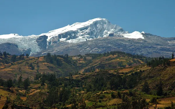 Snow peaked mountain with a patchy coniferous forest lower down its side