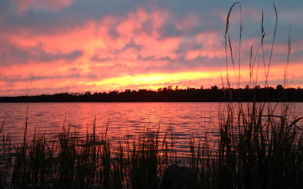 Orange and pink sunset over lake. The lake is surrounded by trees and grass.