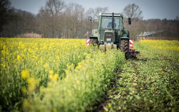 A tractor drives through a green field on a farm 