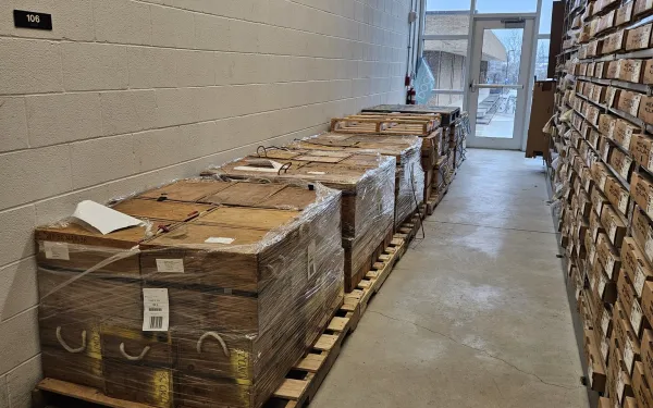 Pallets of wooden boxes in a row along the wall with shelving of boxes on the opposite side and a glass window and door at the end of the isle.