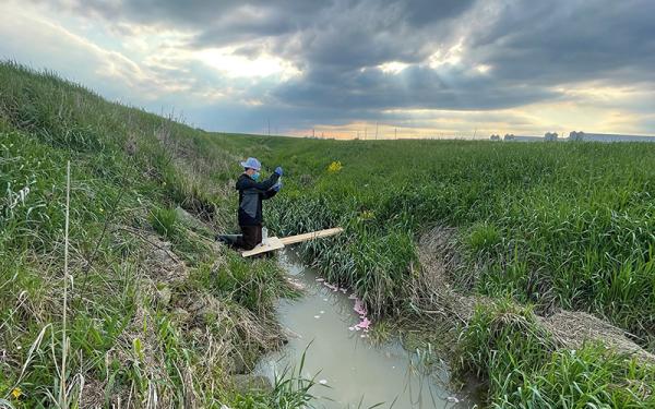 grassy field with a thin stream running through it. Laid over part of the stream is a wooden beam with a person kneeling on it, holding up a jar of something. They are wearing a coat, a hat, and a mask.