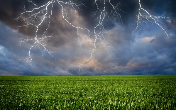 Thunderstorm with lightning in field
