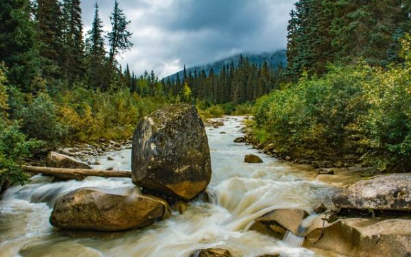 Alaskan River with rocks that is surrounded by green forests