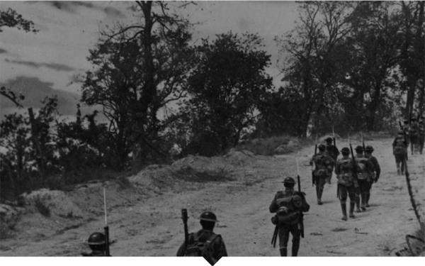black and white photo of soldiers from WW1 walking on a path lined by trees