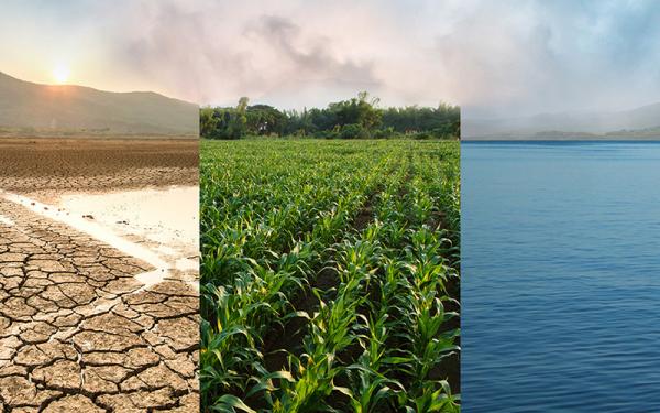 Three panels. The first is a drought, the second is flourishing crops, the third is still water