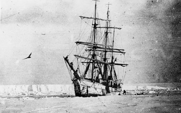 Black and white photo of sail ship with sails down in snow with bird flying close by and light gray skies 