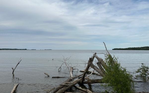 The lake with driftwood in the foreground on the shore, under blue skies and white clouds.