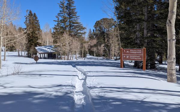 Path through snow leading to a sign, surrounded by trees under a clear blue sky.