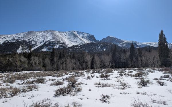 Snow-covered field with patches of grass visible, leading to a dense forest at the foot of the towering, snow-capped Rocky Mountains under a clear blue sky.