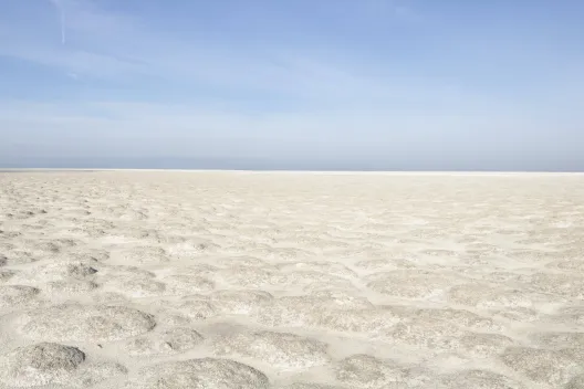 A white field under blue skies with little feather white clouds. 