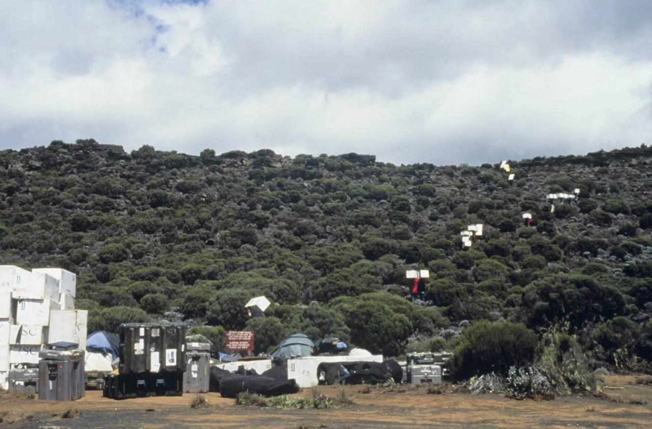Mt. Kilimanjaro, 2000.