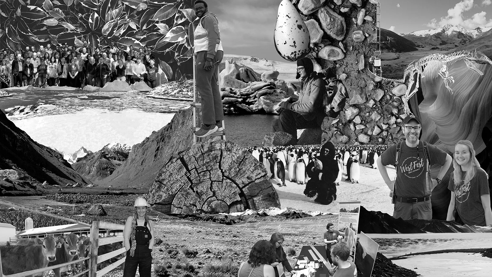 black and white library mural featuring photos of staff, artifacts, and animals