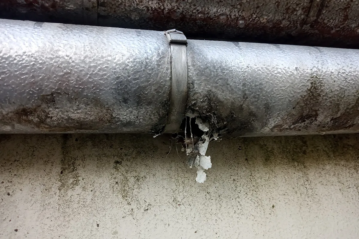 Gray pipe that has become discolored and damaged because Insulation is deteriorating.