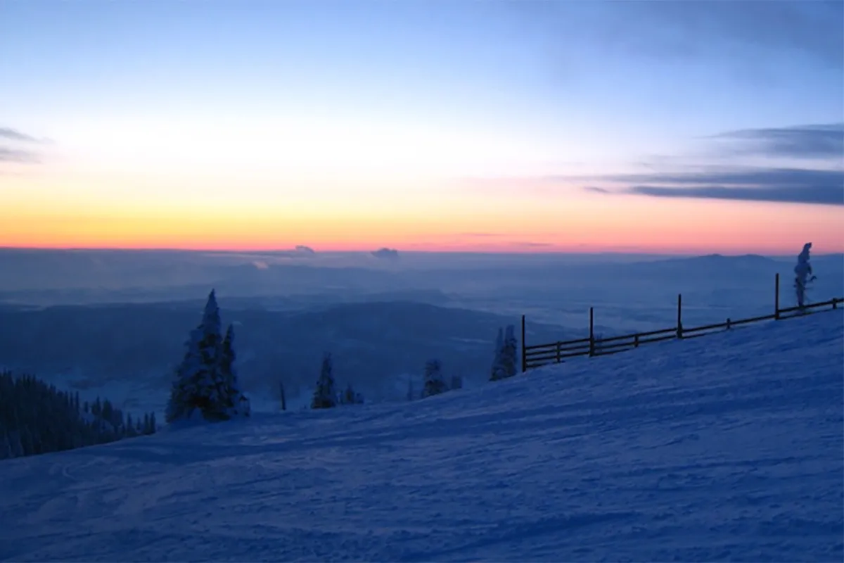 sunrise vista of a a snowy, sloped field with some pine trees under orangish white skies 