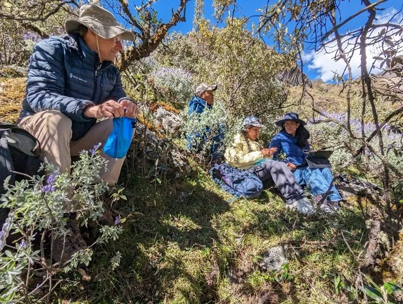 Four people sitting in the shade among bushes on a hill.
